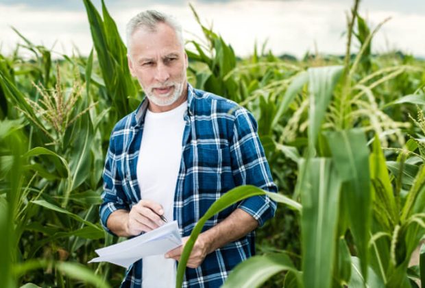 senior-farmer-standing-in-a-corn-field-2022-12-16-11-32-24-utc (1)